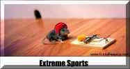 extreme_sports.jpg (12905 bytes)